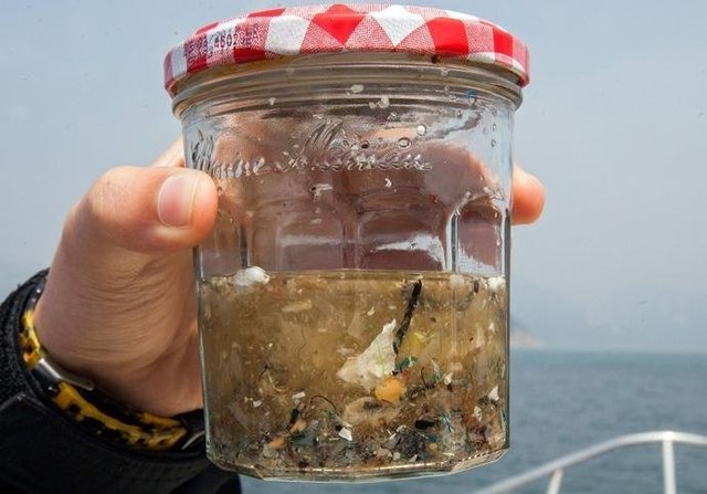 如果知道海洋中的塑料垃圾會(huì )進(jìn)入人類(lèi)肚子，你還會(huì )丟嗎？