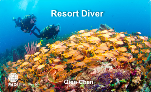 12/12正式上線(xiàn)！PADI 最新課程【休閑潛水員Resort Diver】 丨 一天拿證，潛遍全球