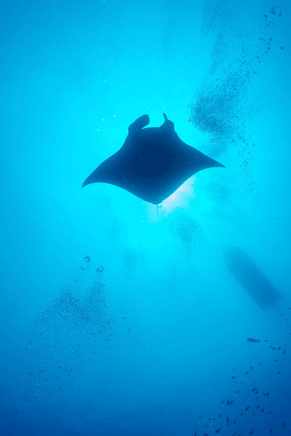 FX的船宿之旅---馬爾代夫（四方線(xiàn)）