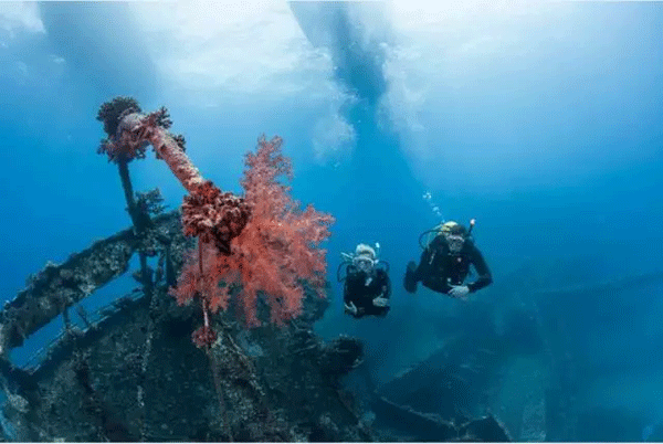 成為潛水員之前的你，是不是也問(wèn)過(guò)這些問(wèn)題？