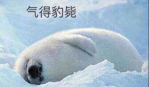 原來(lái)你是這樣的潛水員妹子！