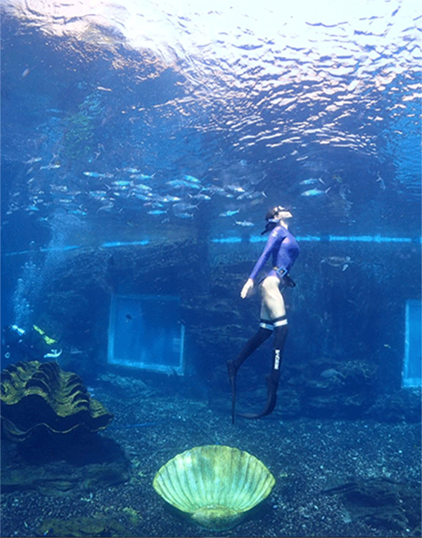 潛水常見(jiàn)問(wèn)題，原來(lái)潛水沒(méi)你想的那么難