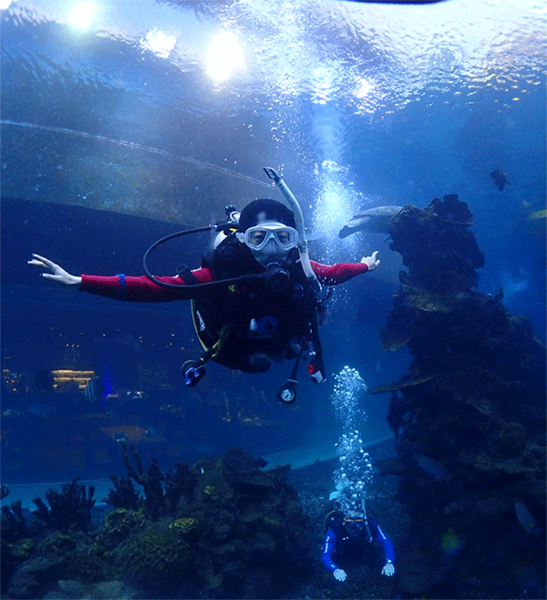 潛水常見(jiàn)問(wèn)題，原來(lái)潛水沒(méi)你想的那么難