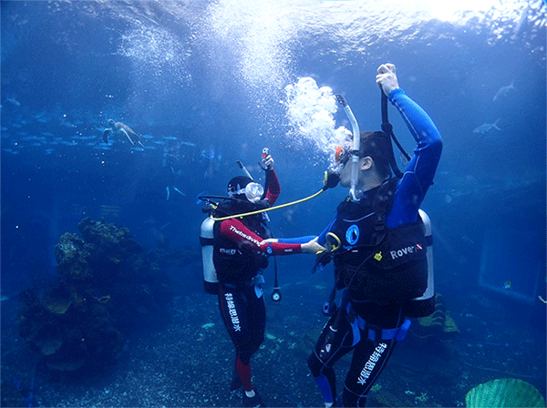 潛水常見(jiàn)問(wèn)題，原來(lái)潛水沒(méi)你想的那么難
